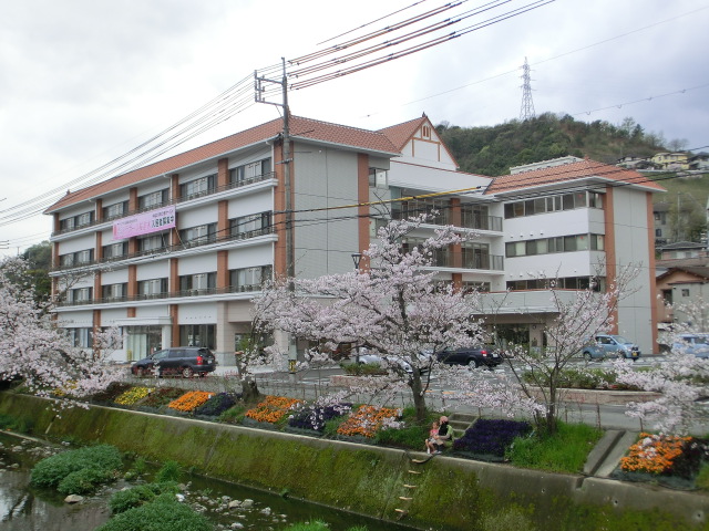 きららラポール桜並木